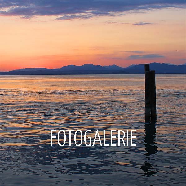 Fotogalerie